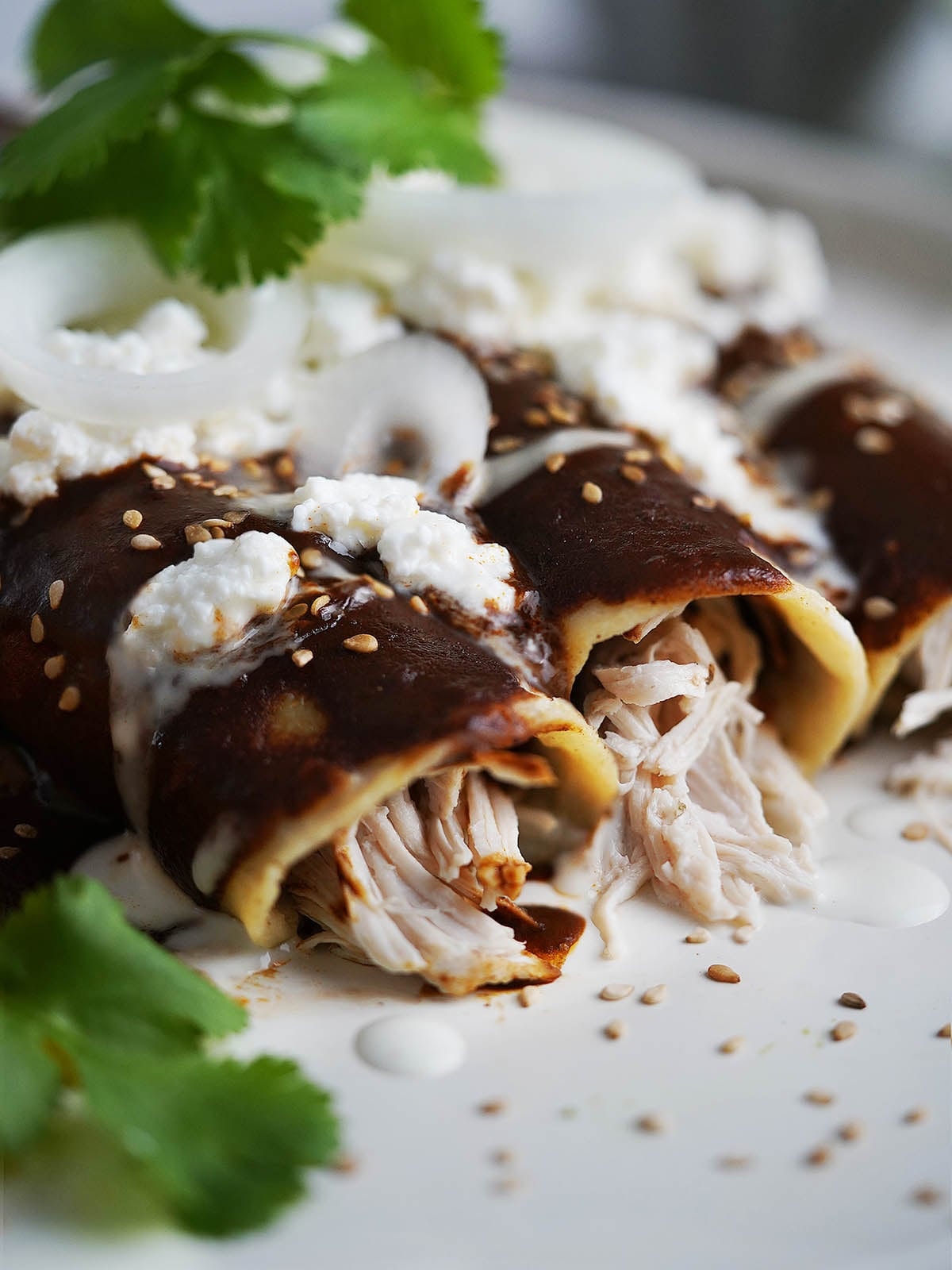 Enchiladas de Mole